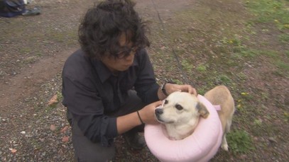 愛犬の「しいたけ」と触れ合う高崎さん