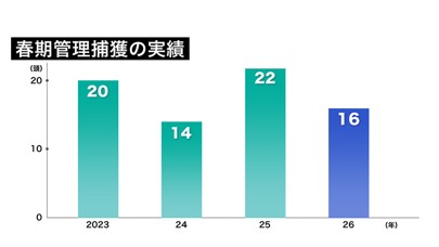 春期管理捕獲の実績の推移 厳しい結果に