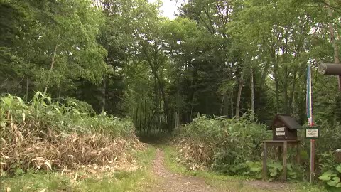 トムラウシ山の登山道(資料)