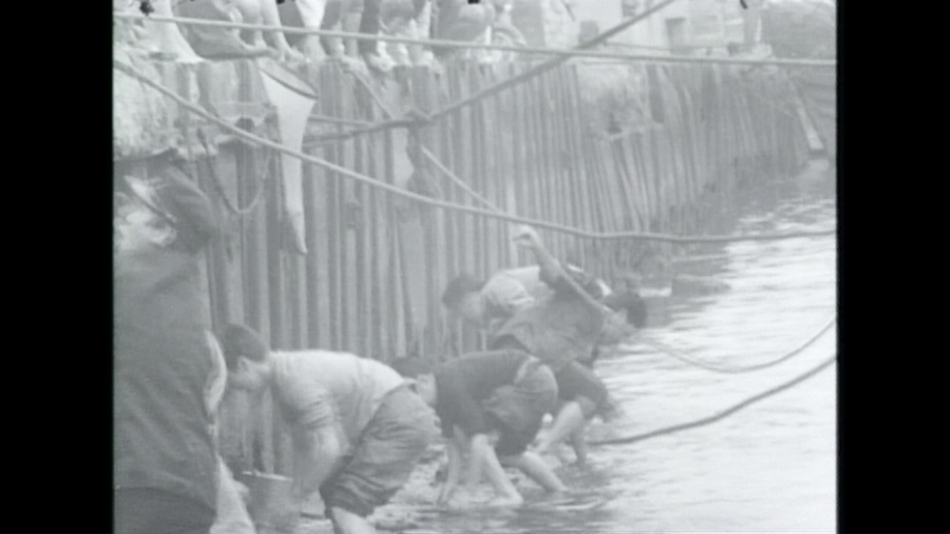 1963年には釧路川河口付近にサンマの群れが押し寄せた