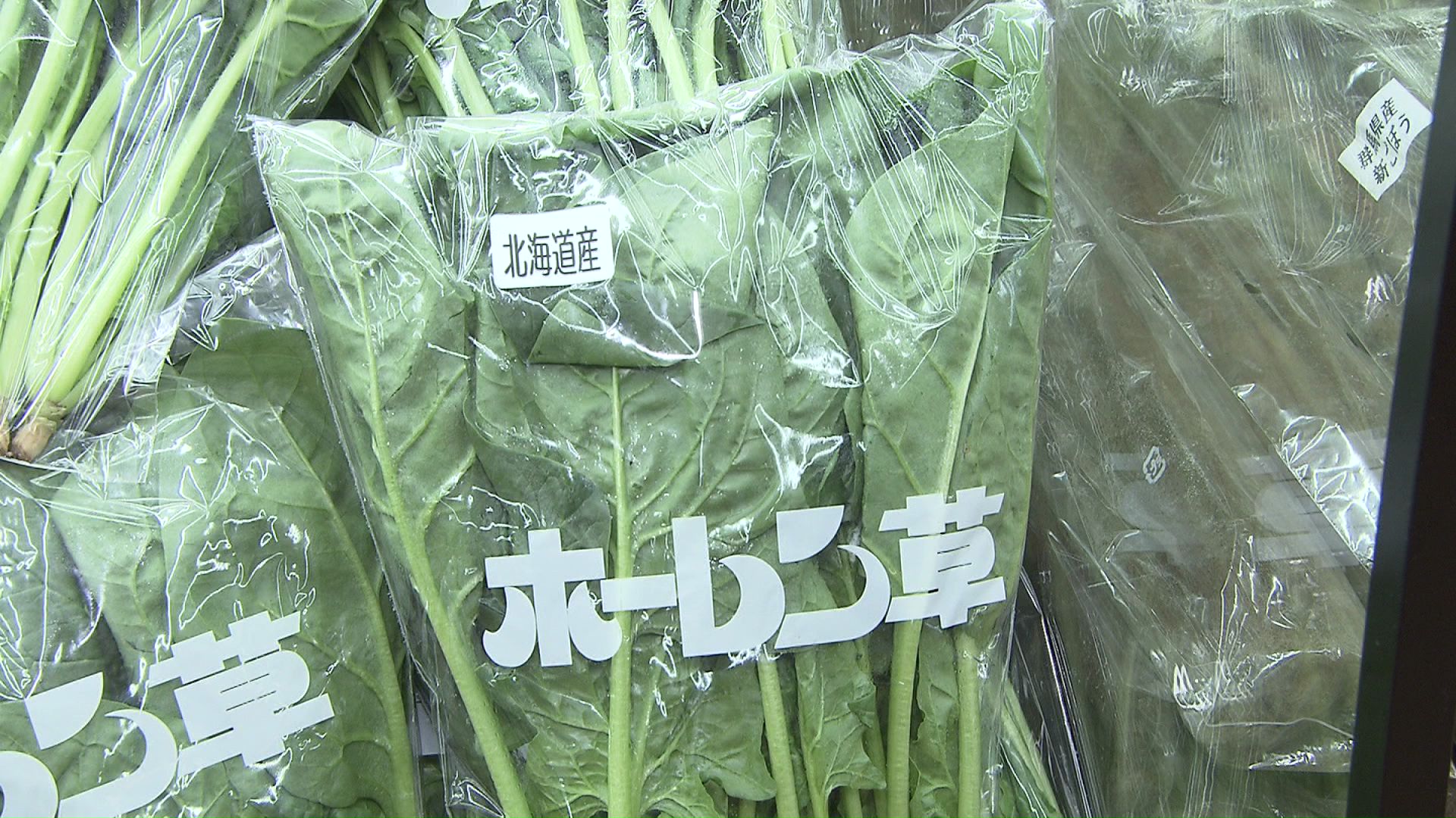長ネギやホウレンソウは1か月前と比べて10%以上も「値上がり」(※7月時点でのデータ)