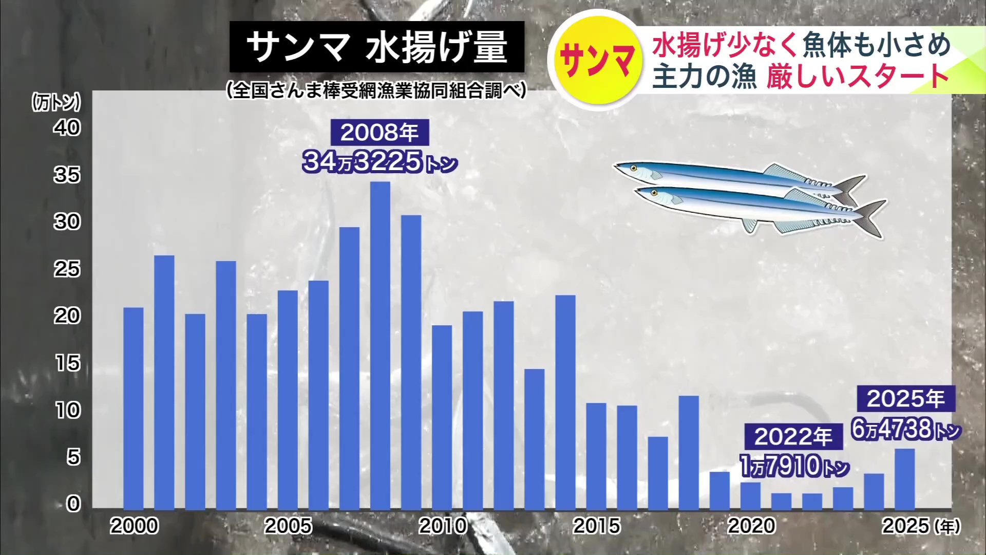 サンマの水揚げ量
