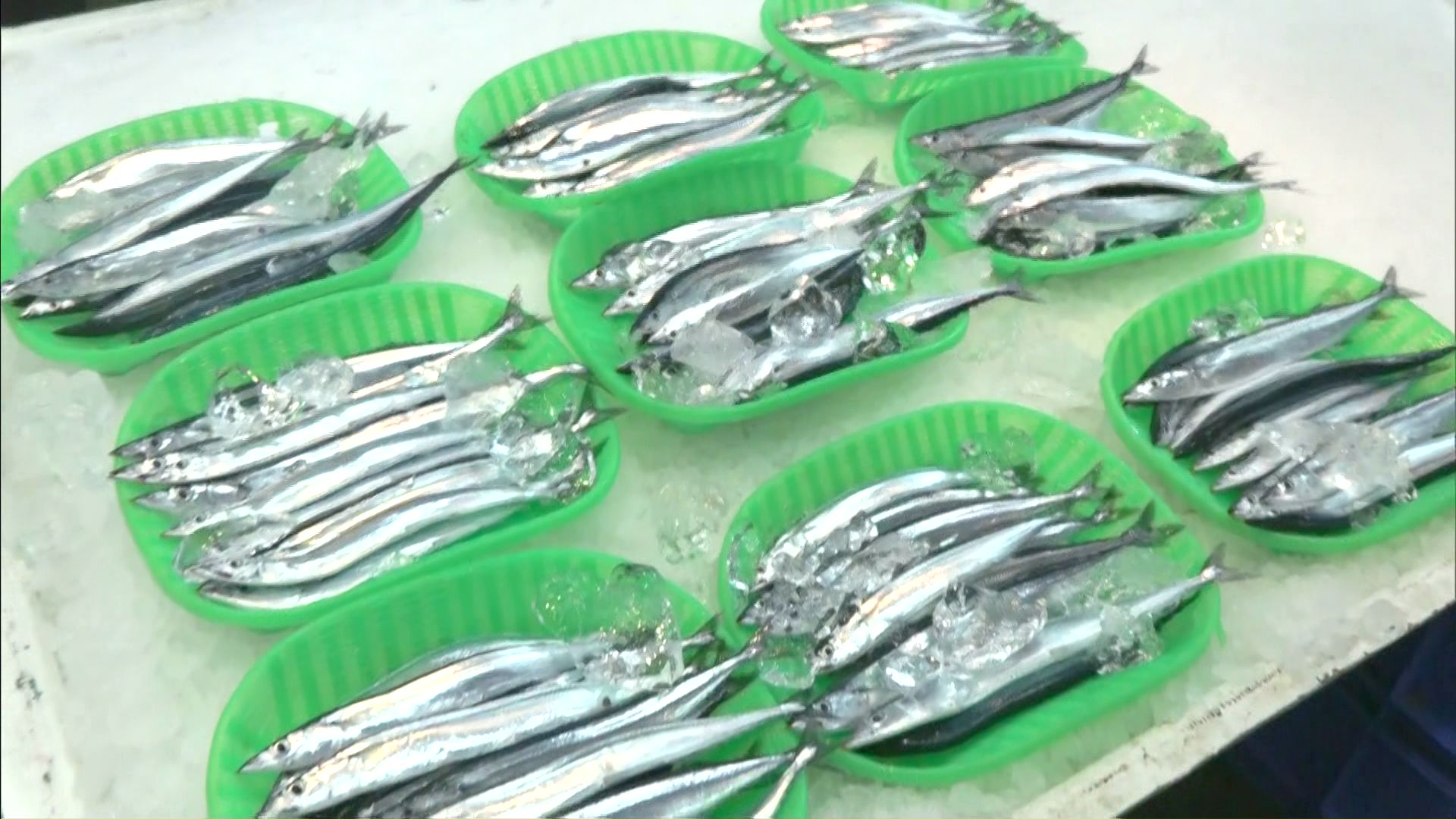 根室市内の鮮魚店に並んだサンマ