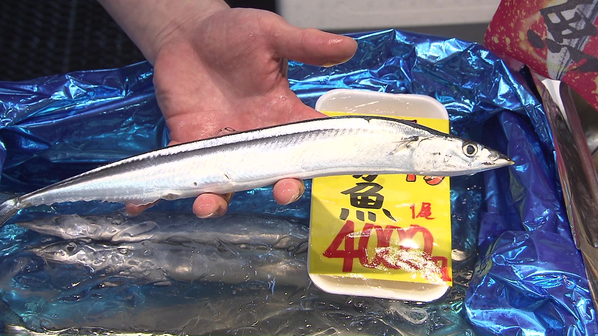 札幌市内の鮮魚店では1匹4000円