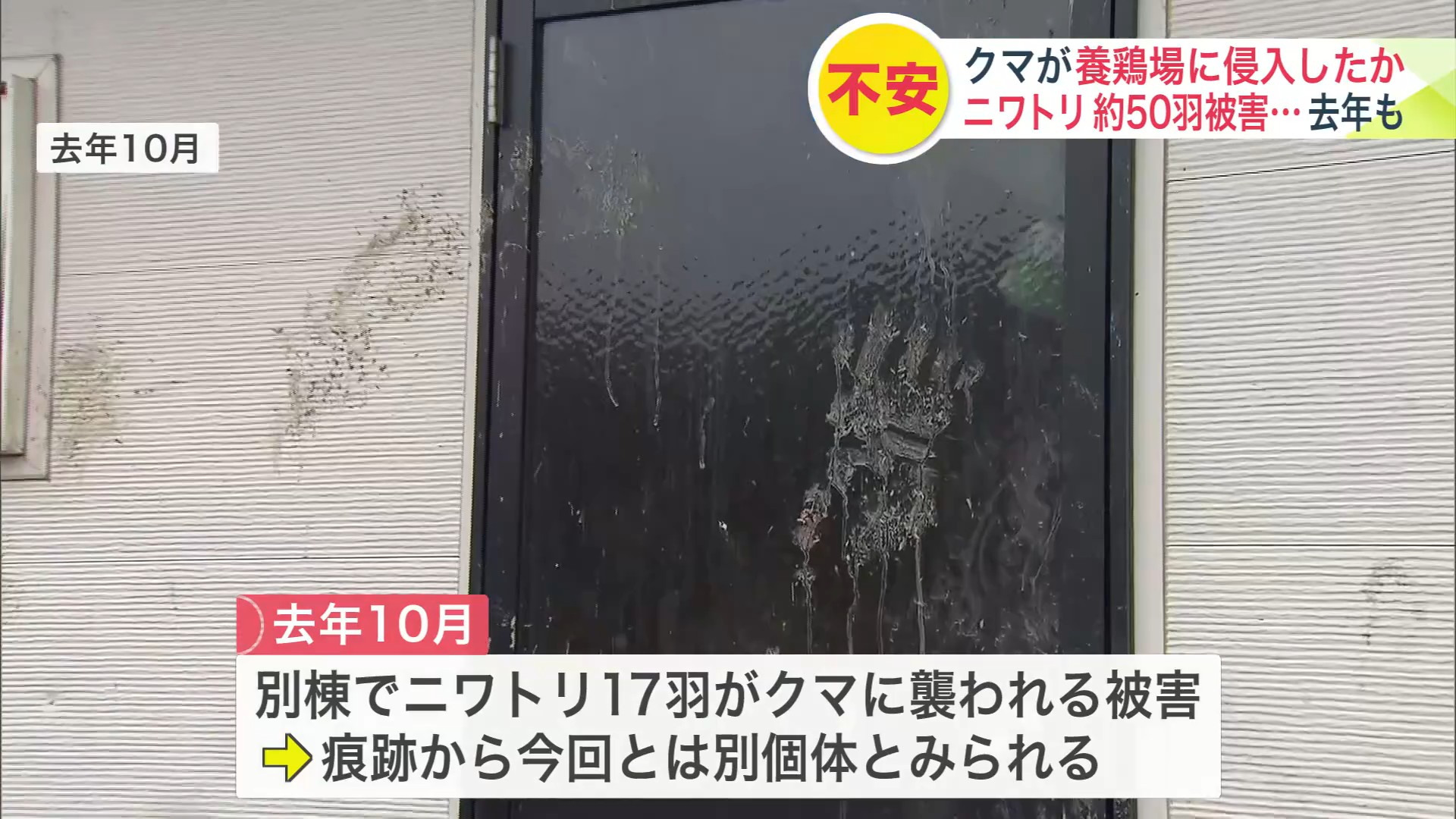 2025年10月にも鶏舎を襲撃