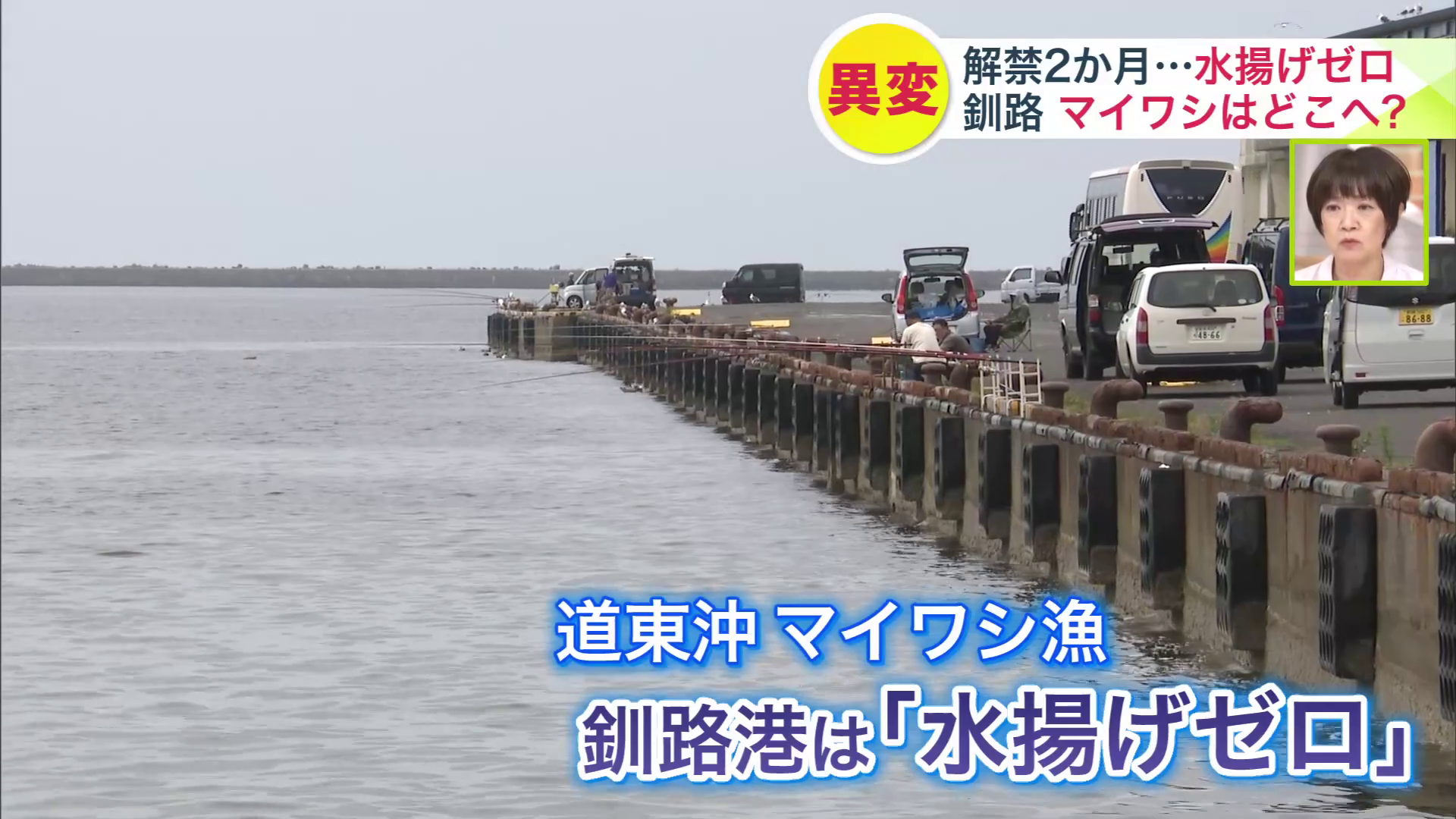 約2か月、釧路港でマイワシ水揚げゼロの状態が続く