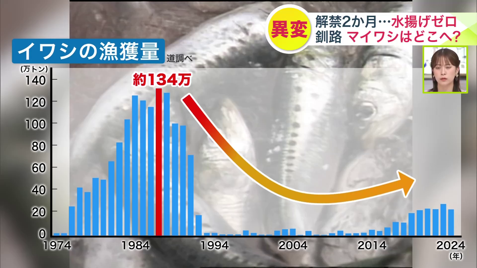 1990年代前半の釧路は活気づいていた