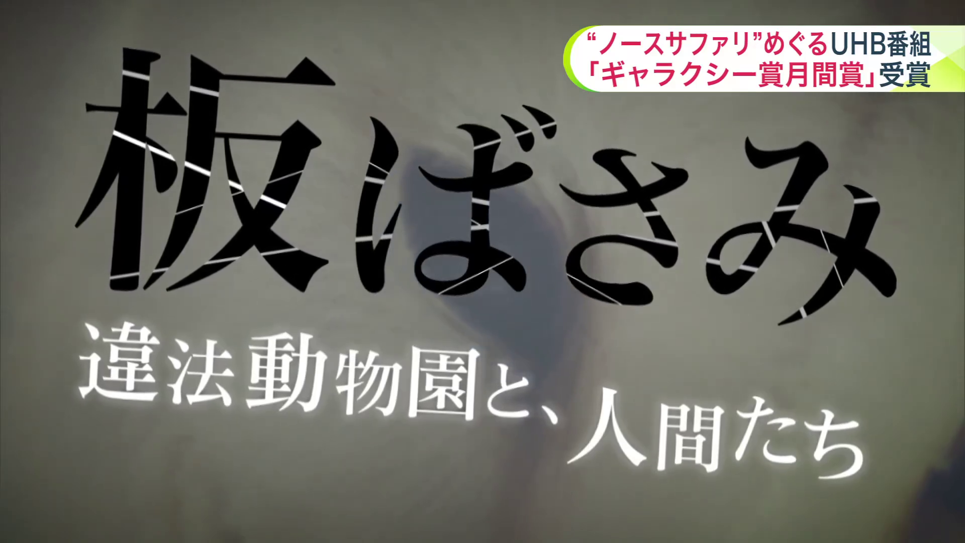 UHB制作のドキュメンタリー番組がギャラクシー賞テレビ部門、7月の月間賞を受賞