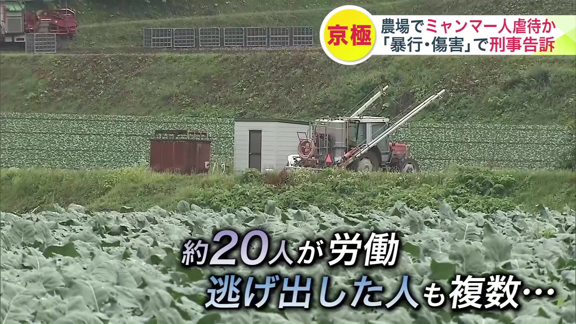 現場では約20人が労働しているが、逃げ出した労働者も複数いるという話も