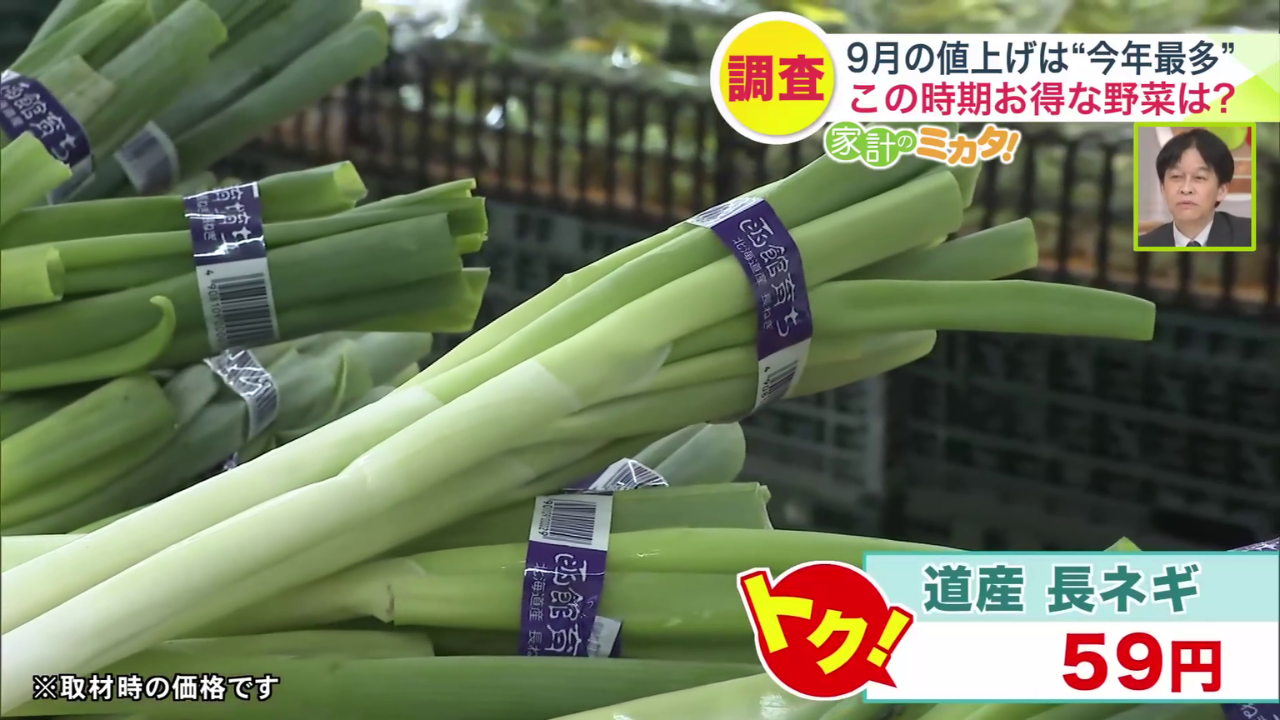 長ネギは7月ごろからお手頃な価格に（※取材時の価格）
