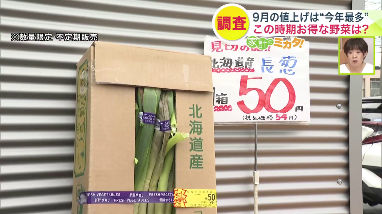 ワケありの長ネギは一箱で54円！（※数量限定・不定期販売）
