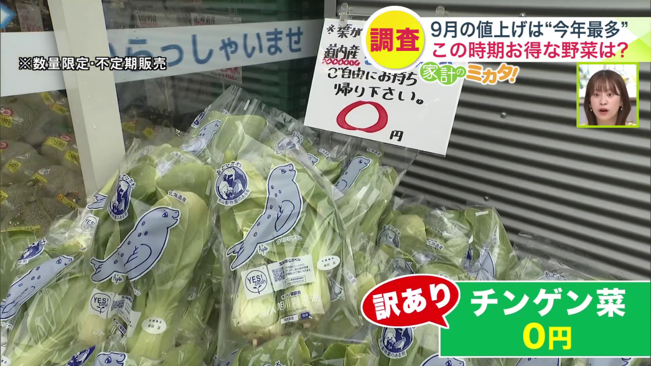 葉が黄色くなった訳ありチンゲン菜はゼロ円(※数量限定・不定期販売)