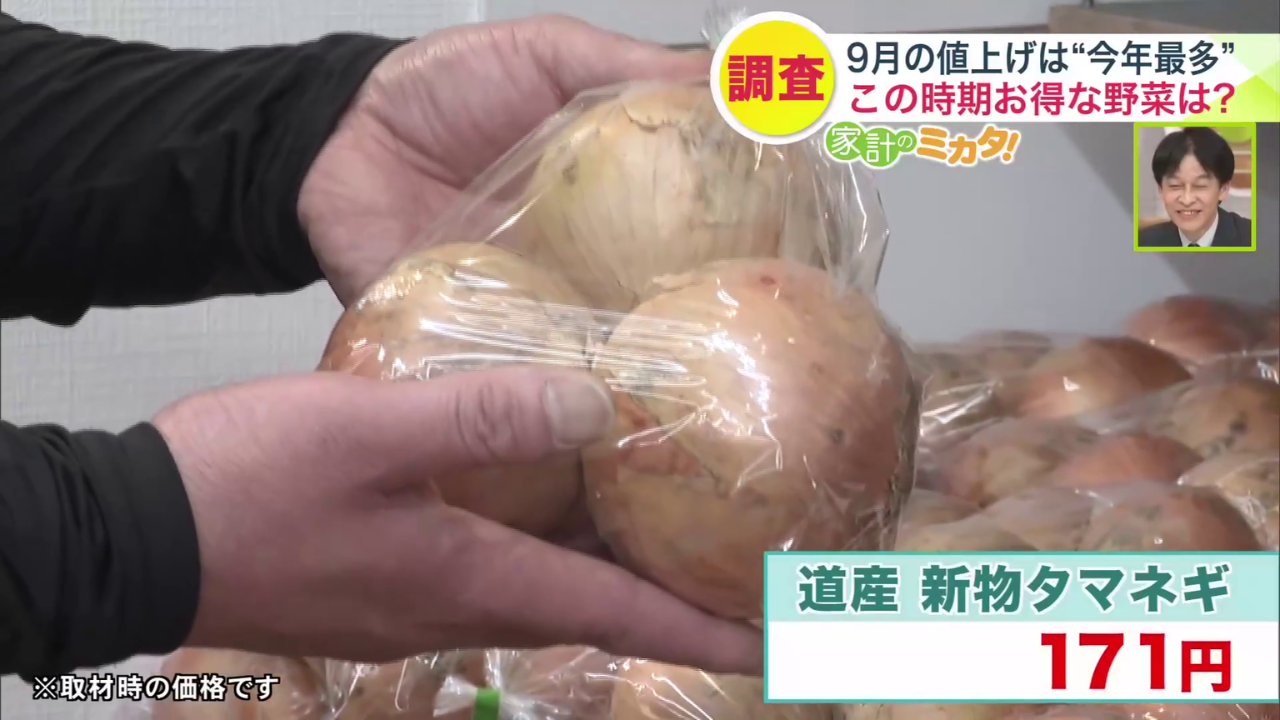 タマネギは2025年よりも大きいサイズに（※取材時の価格）