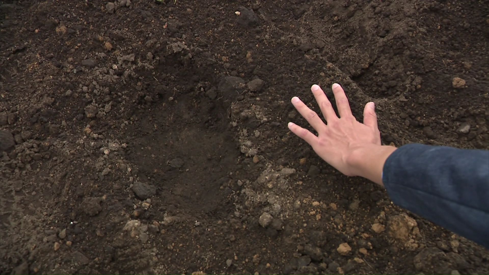 現場に残っていた幅18センチほどのクマの足跡