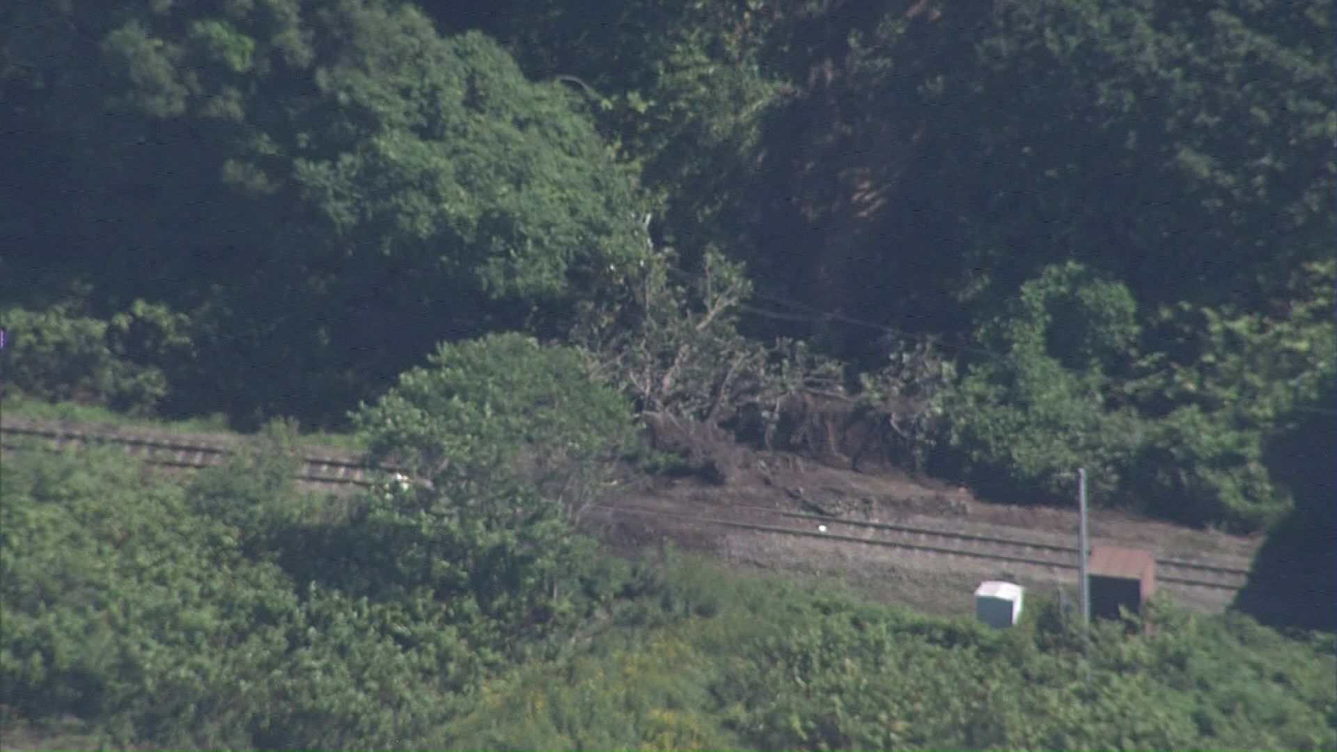【脱線】記録的大雨で線路に倒木が流れ込む→JR室蘭線”回送列車”が衝突…ケガ人なしも復旧めど立たず→一部区間で運休→「札幌―函館」間の『大動脈』に影響
〈北海道伊達市〉