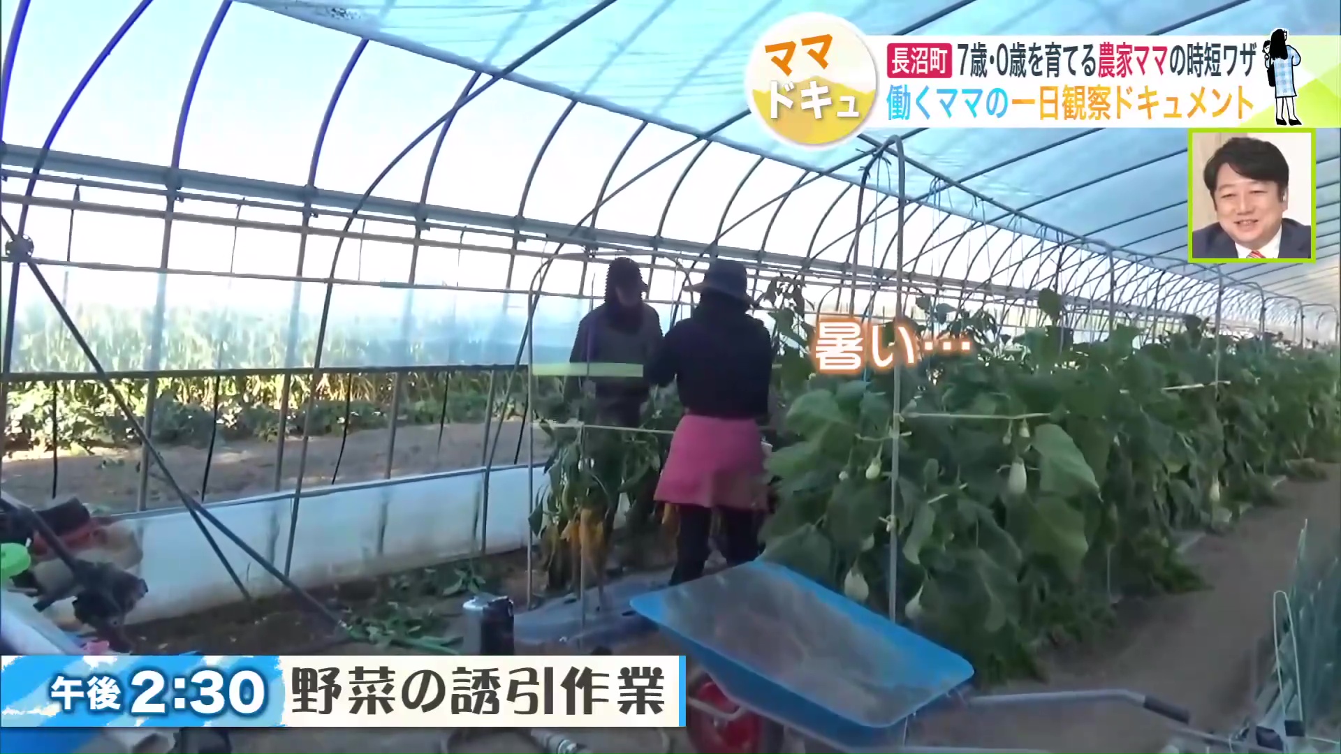 午後は野菜の誘引作業を