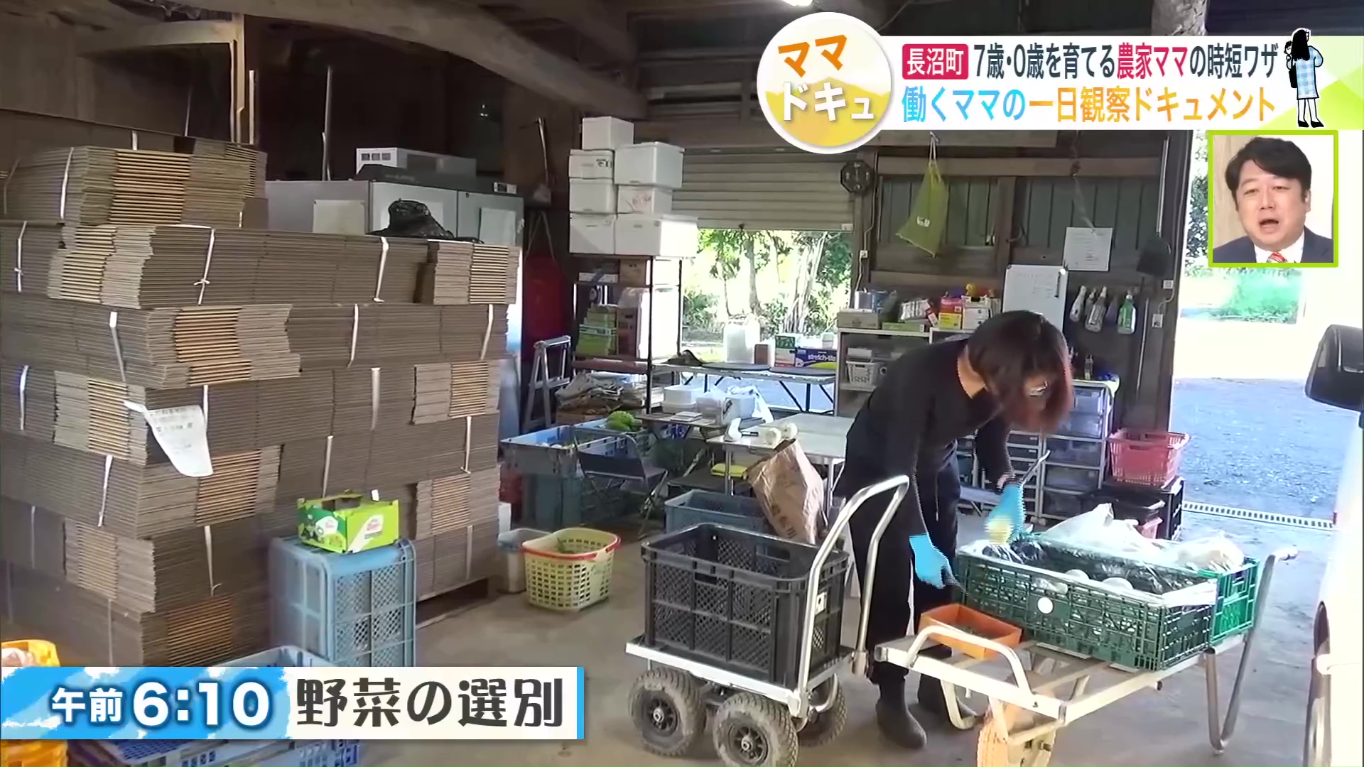 朝5時起きで野菜の選別作業