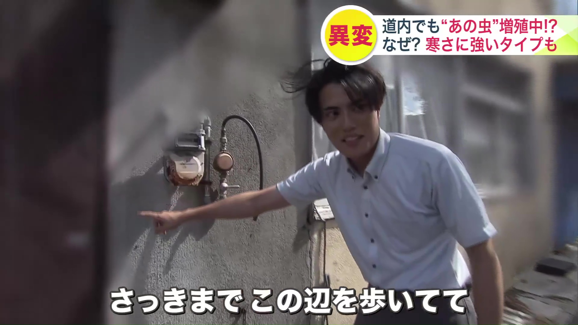 目撃が相次いでいる住宅街を探索してみると