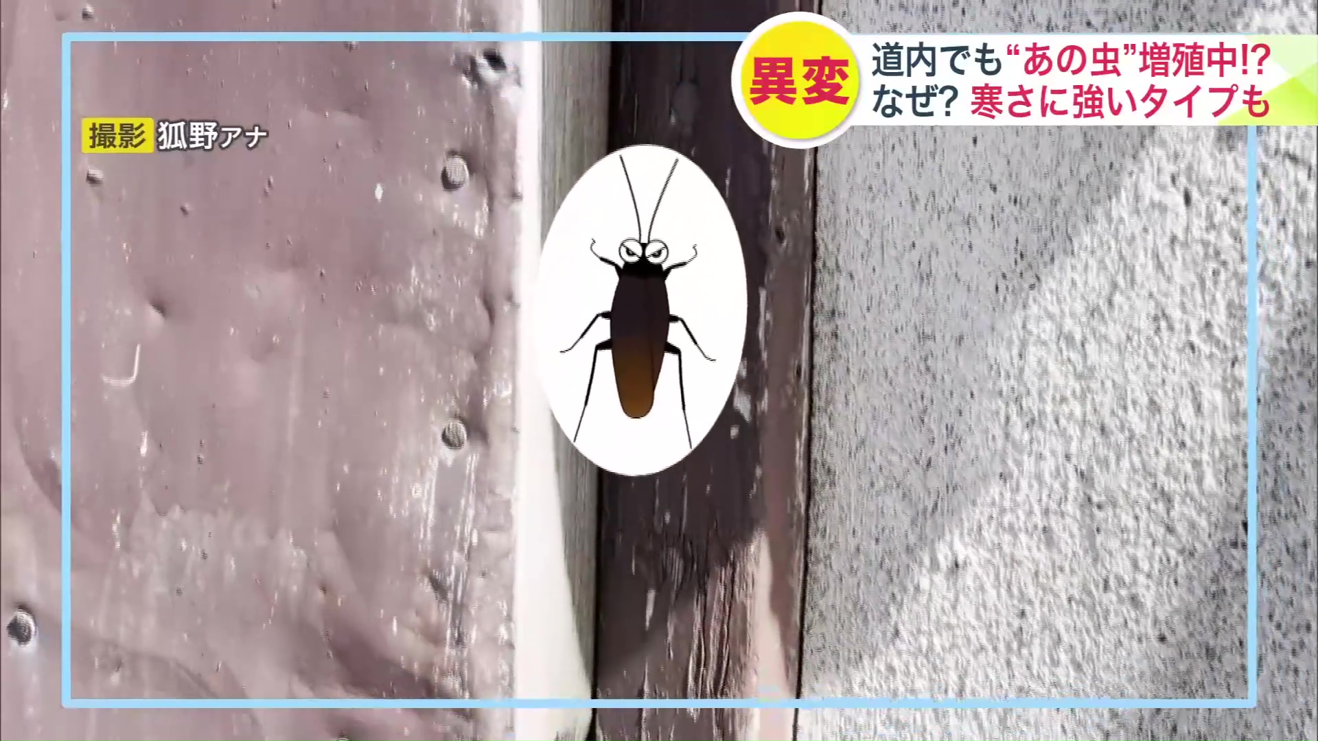 住宅の壁に…