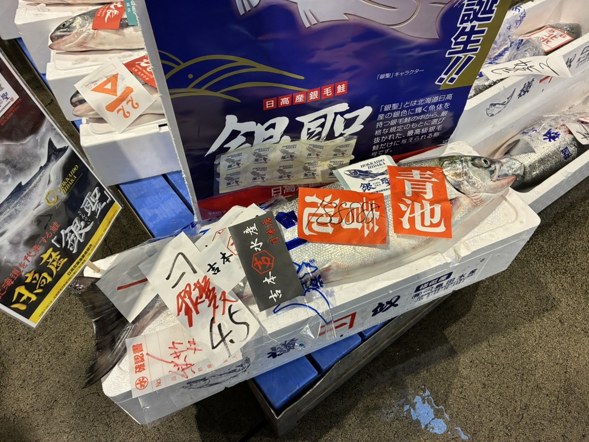 「初競り」史上最高値1キロあたり18万8888円の“秋サケ”(北海道札幌市)