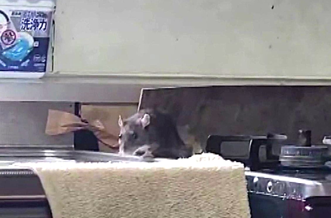 ミャンマー人が住んでいた寮