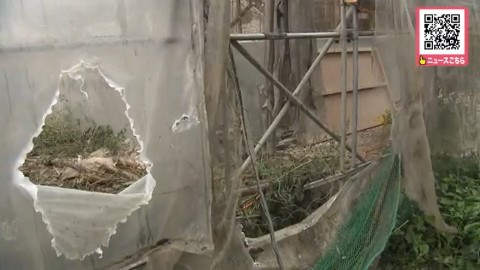 クマに荒らされた現場