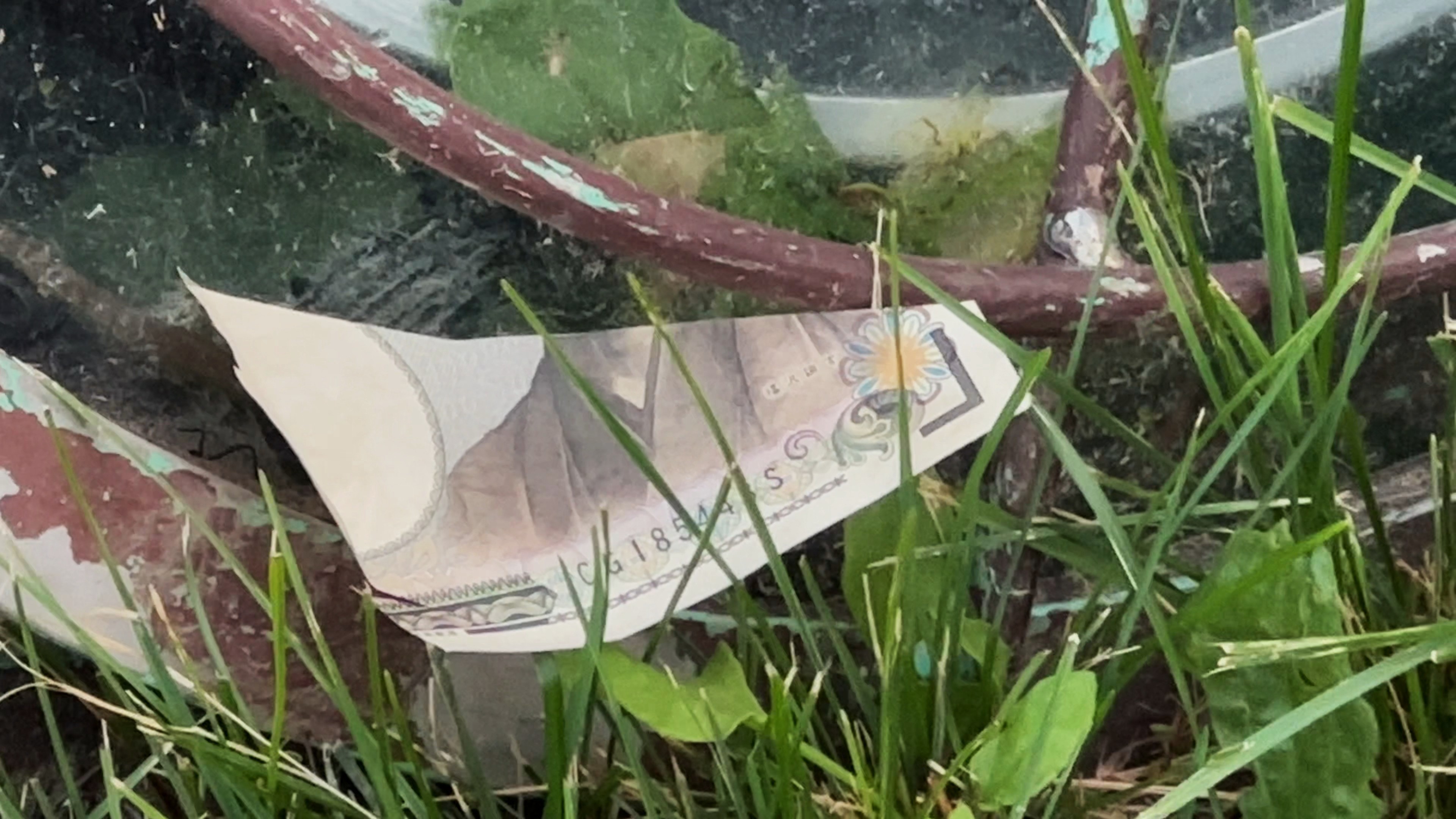 紙幣がばらまかれていた稚内公園（資料）