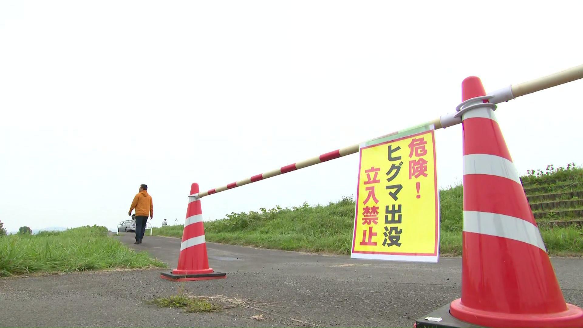 午前11時ごろに市職員がクマ注意の看板を設置していたところ、付近でクマを目撃