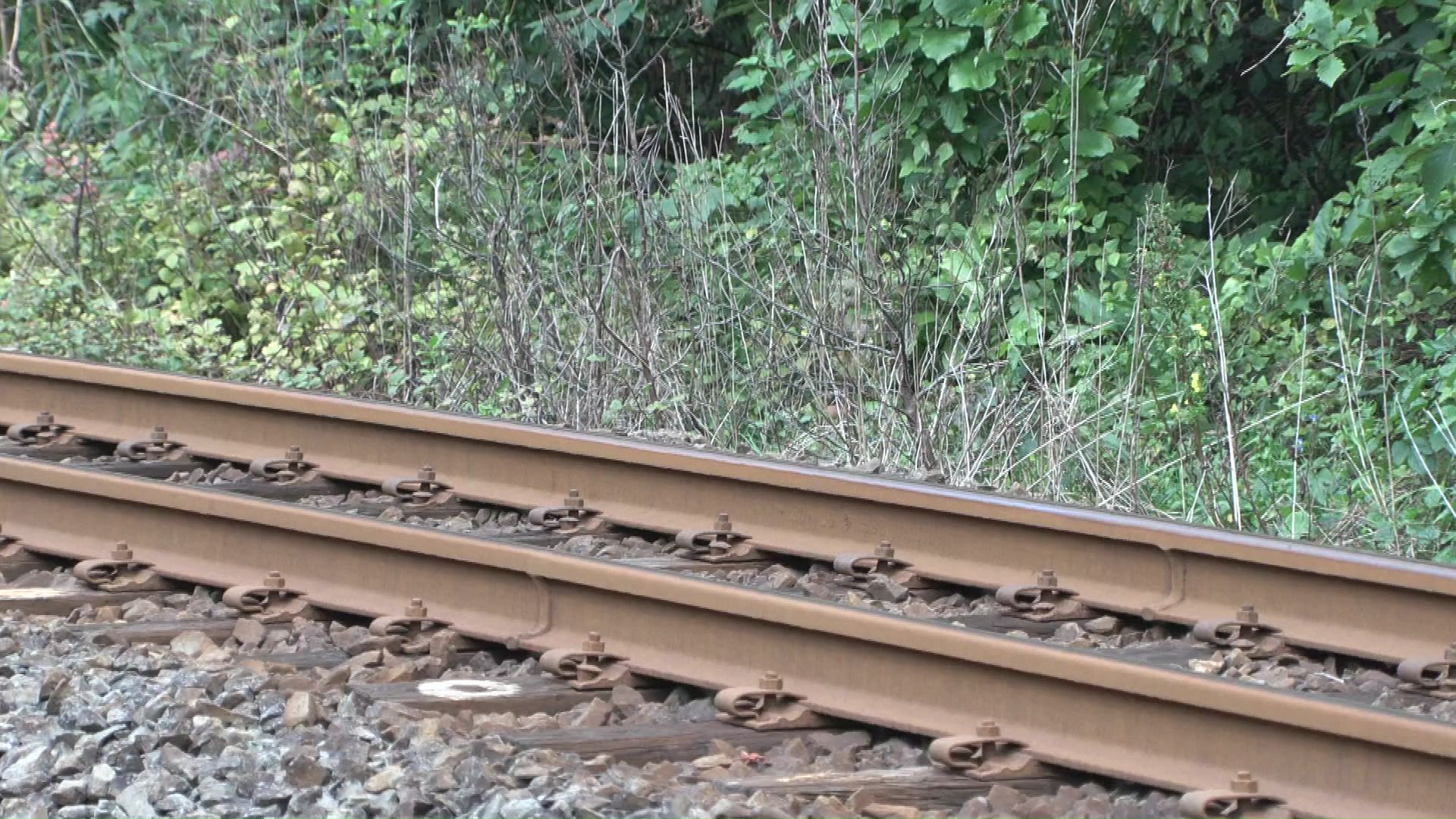 線路に迫る山