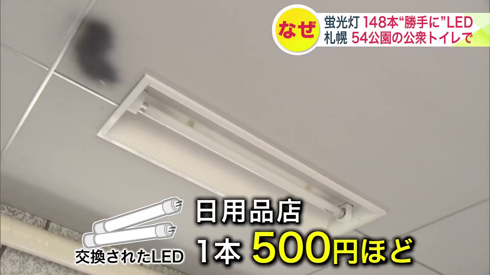 使われたLEDはすべて、日用品店で1本500円ほどで売られているものだった
