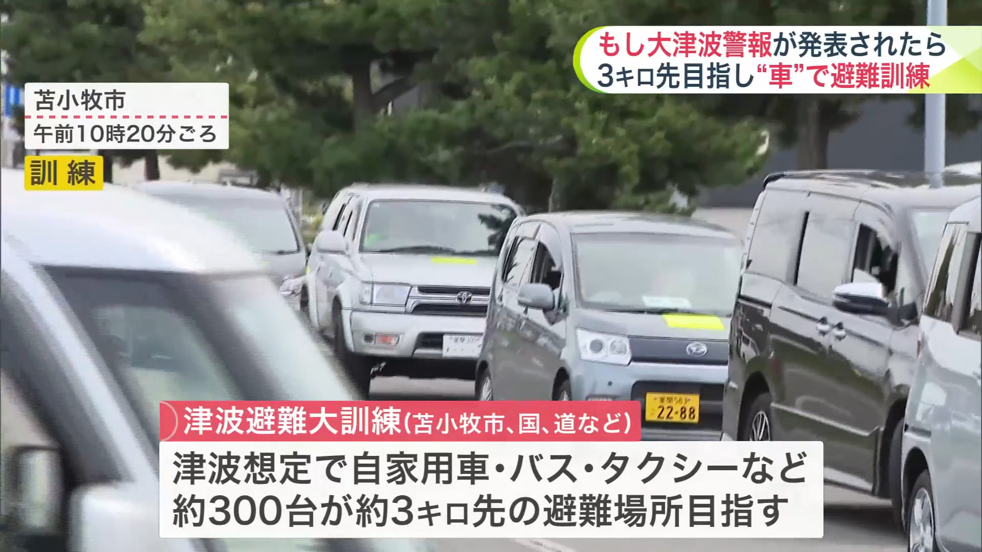 バス、タクシー、自家用車など約300台が避難所を目指す想定