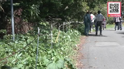 設置されたロープ柵