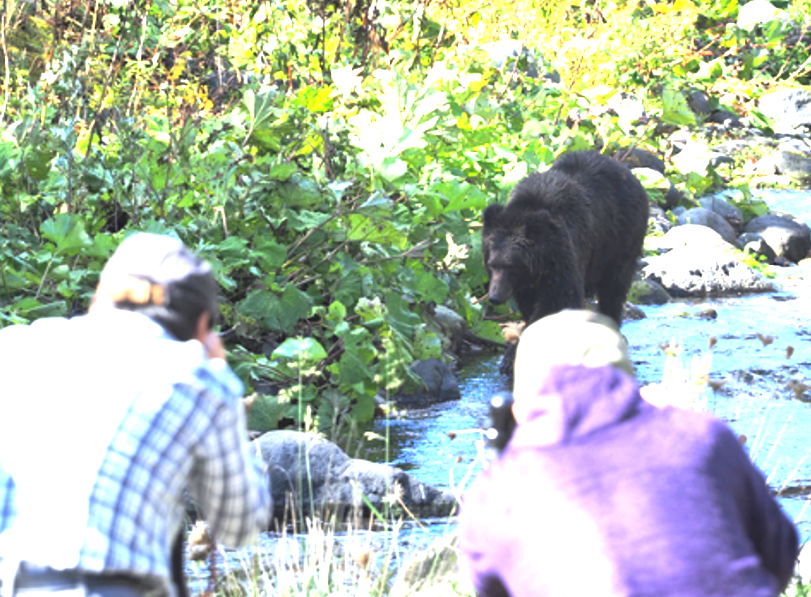 ヒグマに近づき写真撮影する人々(知床財団提供)