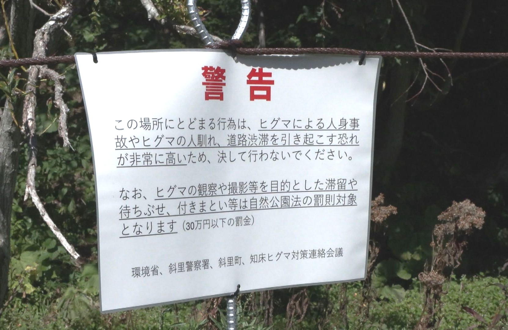 警告看板も設置