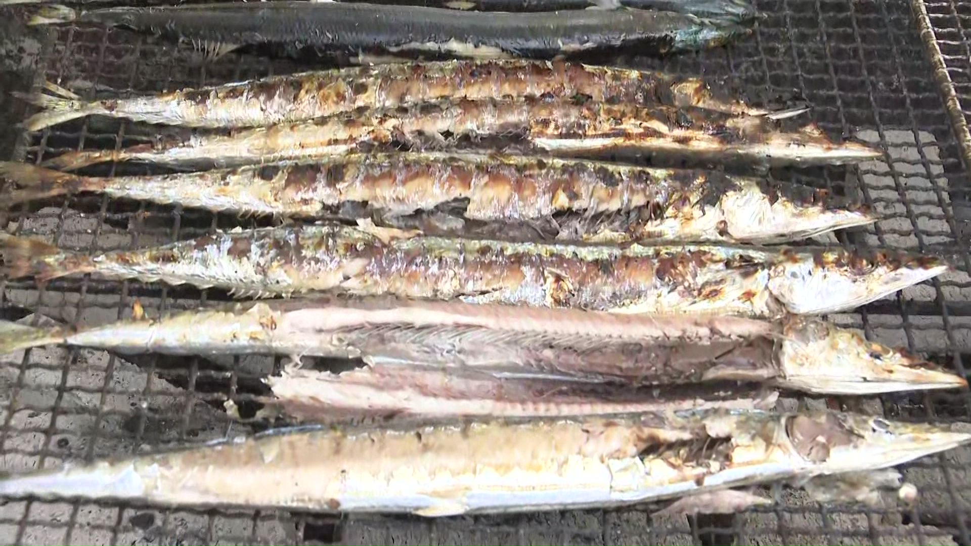 北海道根室市直送の焼きサンマ