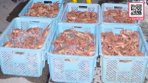 提供：函館海上保安部