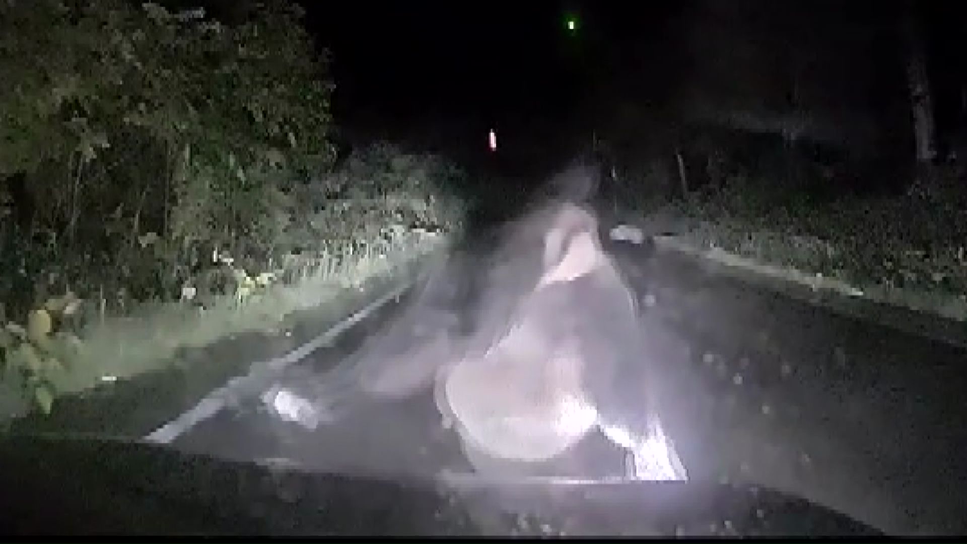 うなり声を上げて車に襲いかかるヒグマ(提供:名寄警察署)