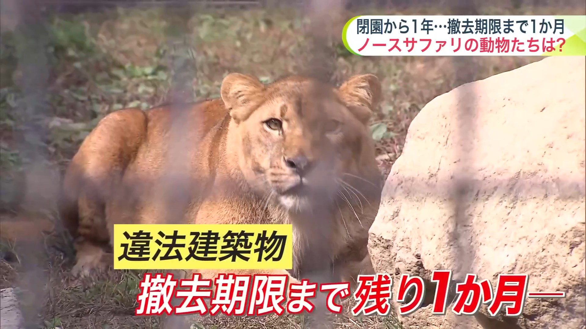 撤去期限まで残り1か月