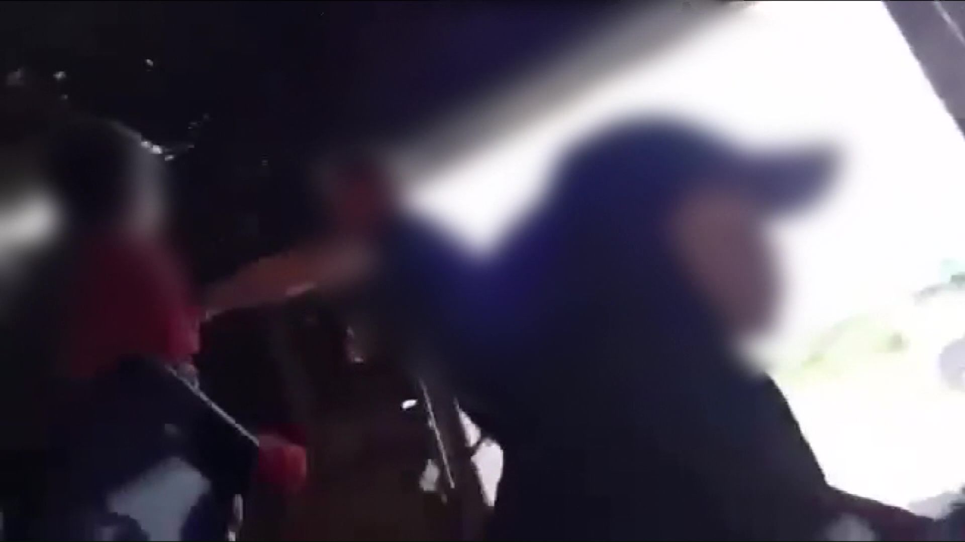 農場で撮影された映像より
