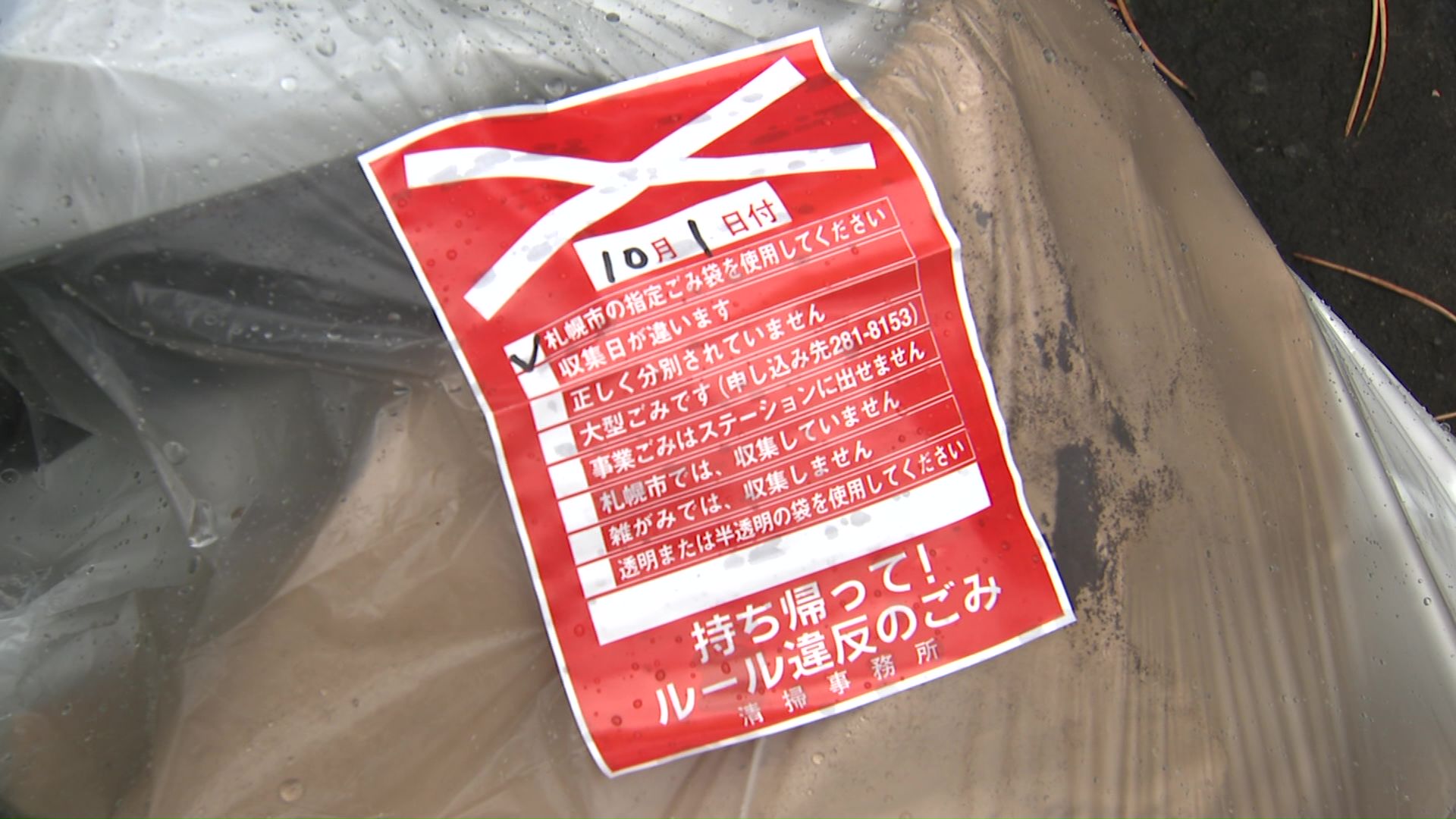 ルール違反のゴミは1割未満だった(10月1日午前中の収集)