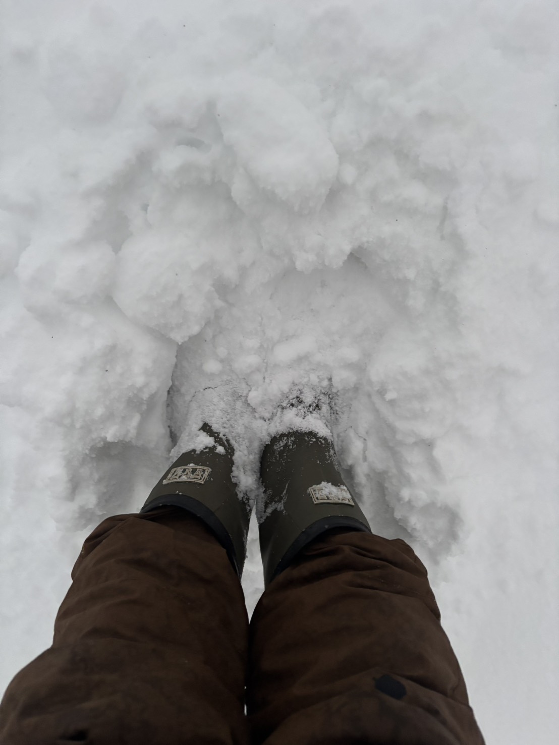 雪が積もった黒岳石室（提供：黒岳石室管理人）