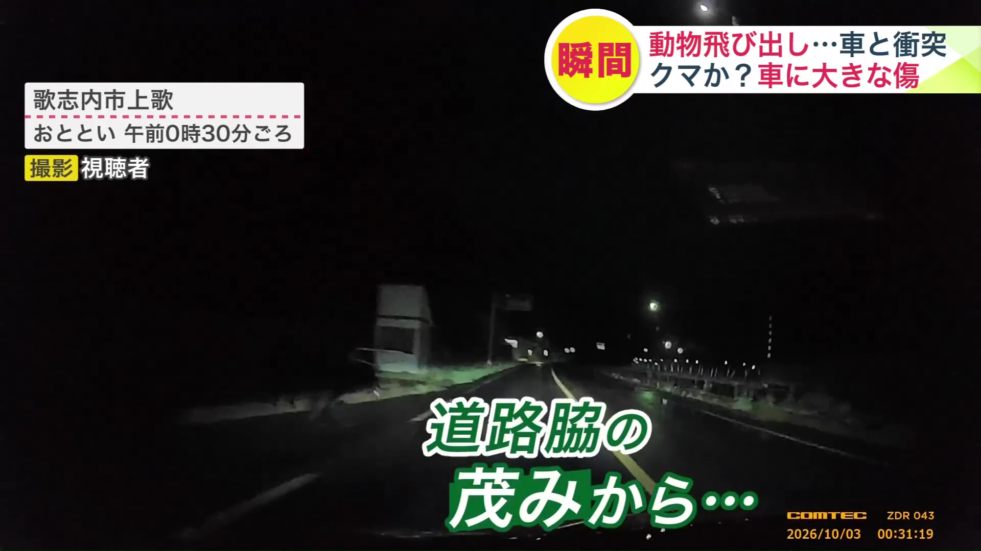 クマのような動物と車が衝突　(撮影：視聴者)