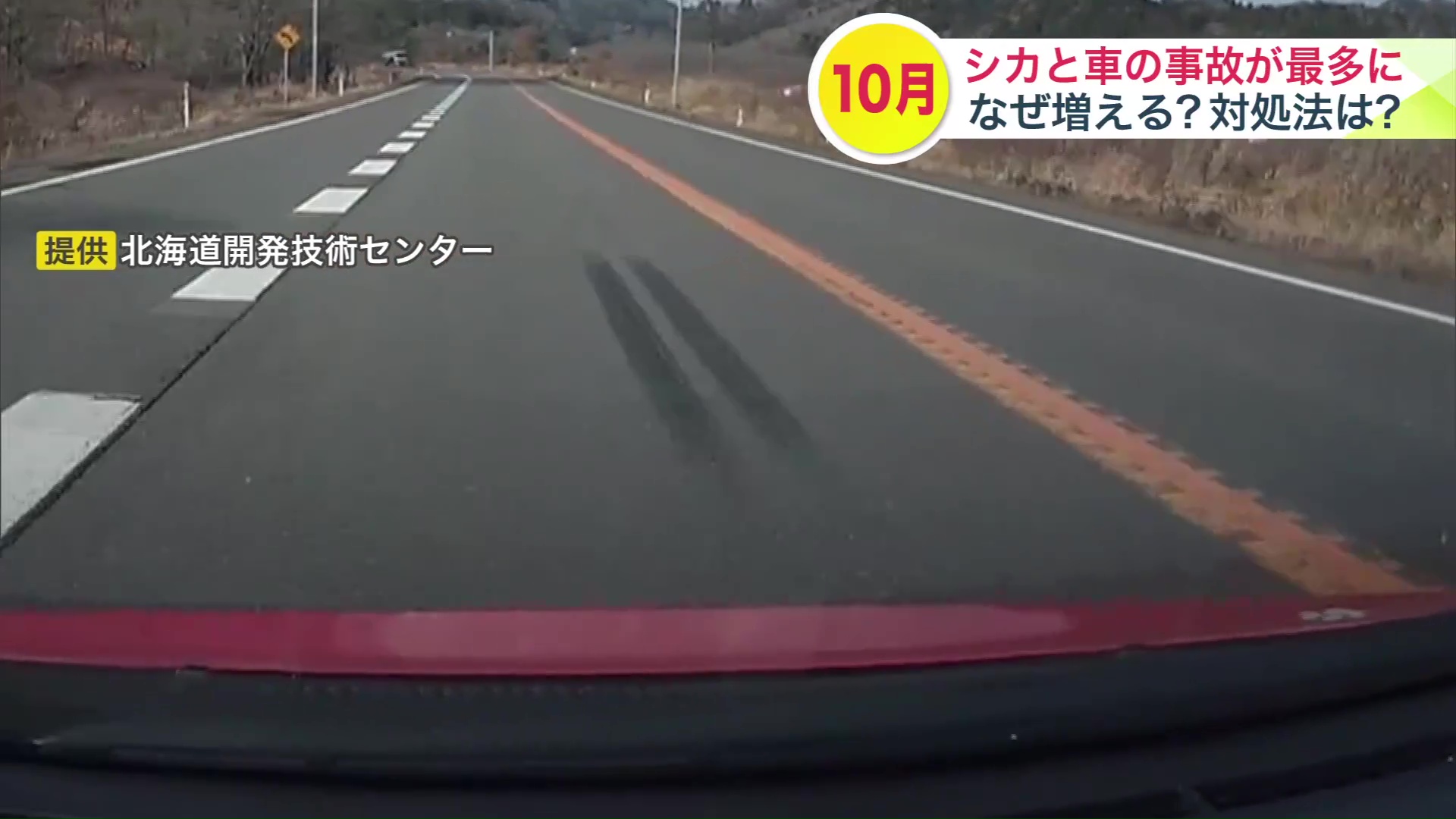 提供：北海道開発技術センター　道路にはブレーキ痕が