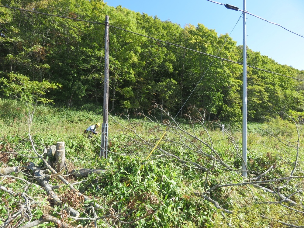 樹木や草木も勝手に伐採(提供:R北海道釧路支社)