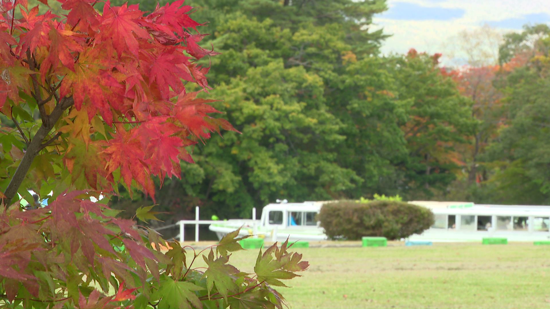 これから紅葉の見ごろを迎える、七飯町の大沼公園