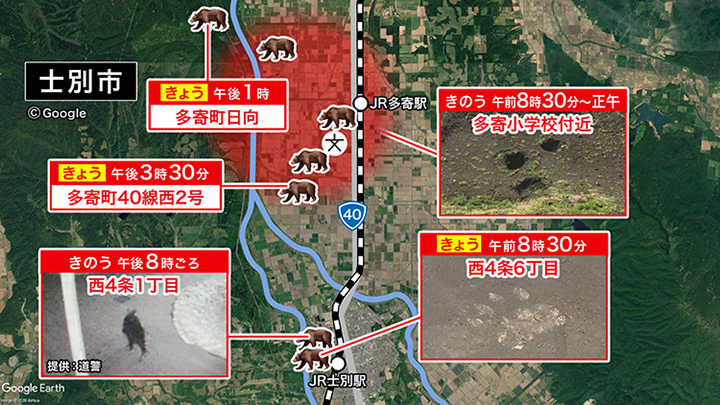士別市内で相次ぐクマの目撃