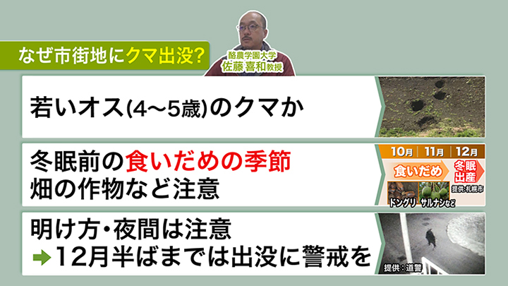 なぜ市街地にクマ出没？