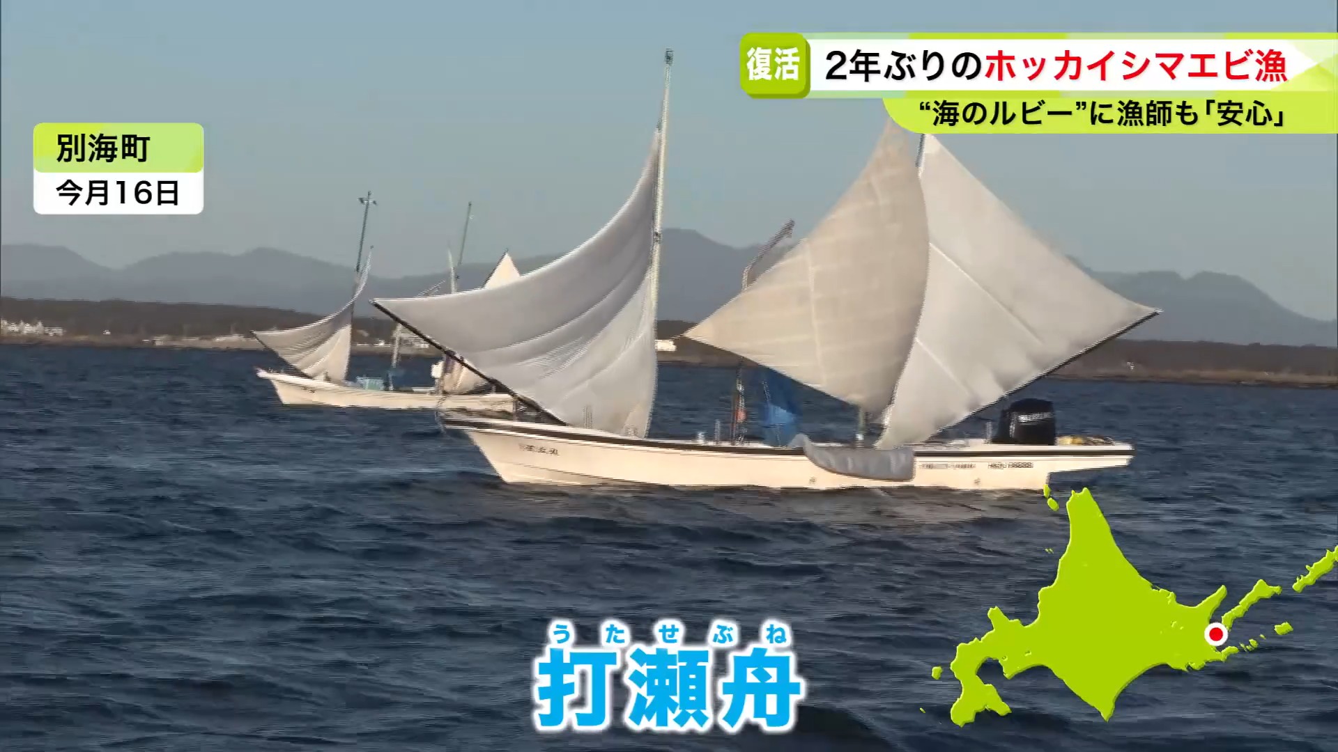 名物・打瀬舟