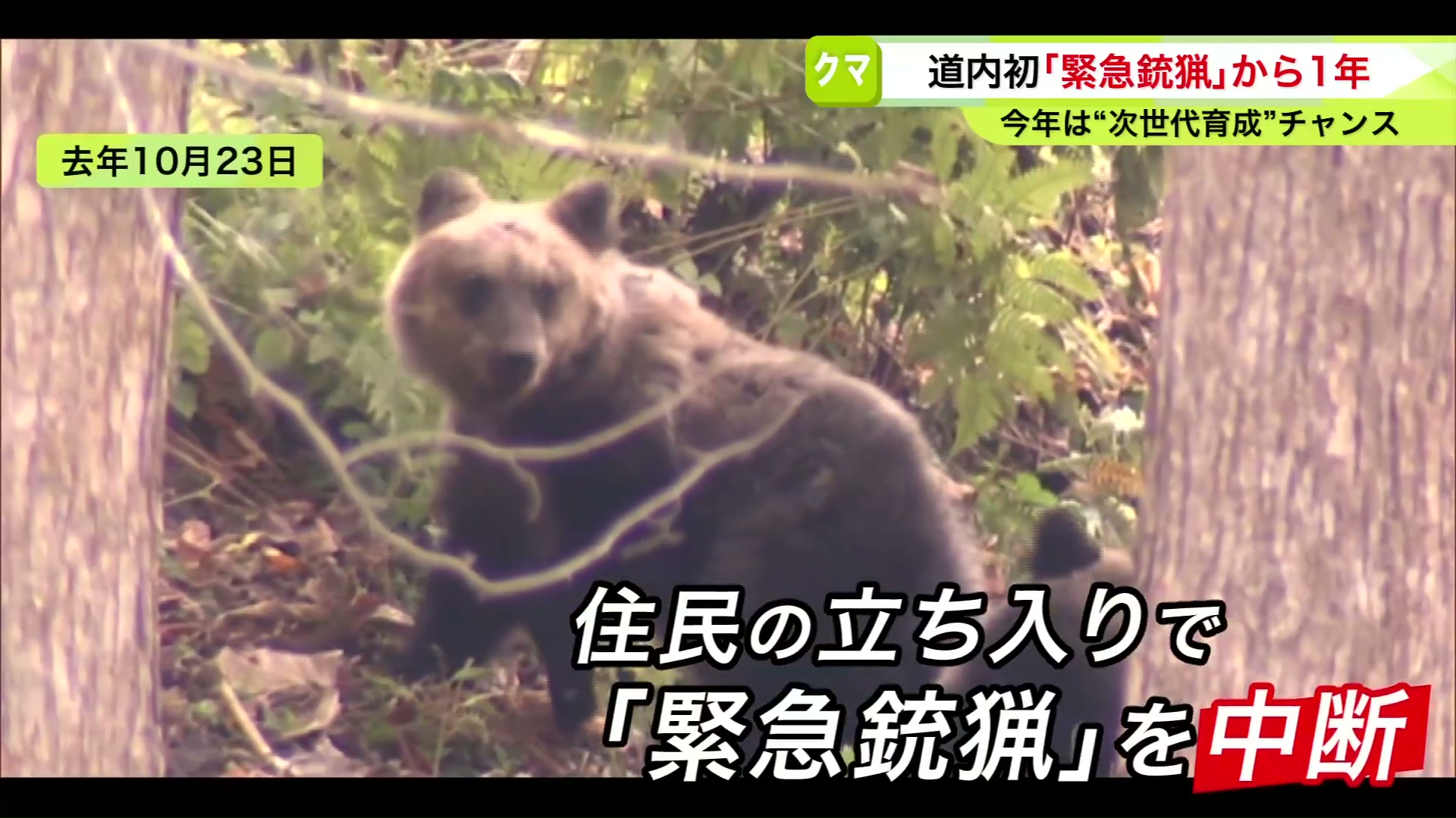 住民の立ち入りで中断する事態に