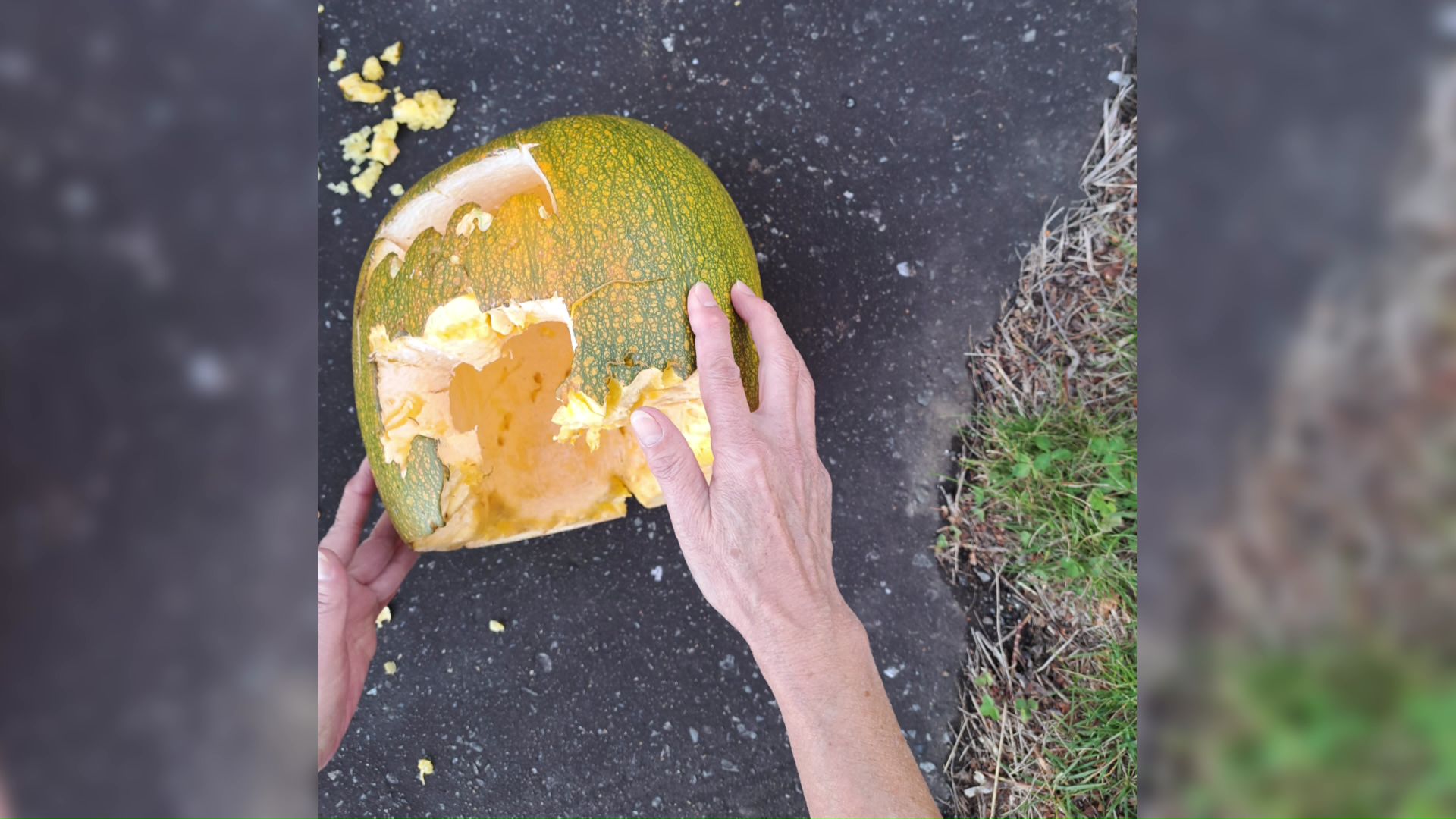 食い荒らされたハロウィーン用のカボチャ(撮影:視聴者)